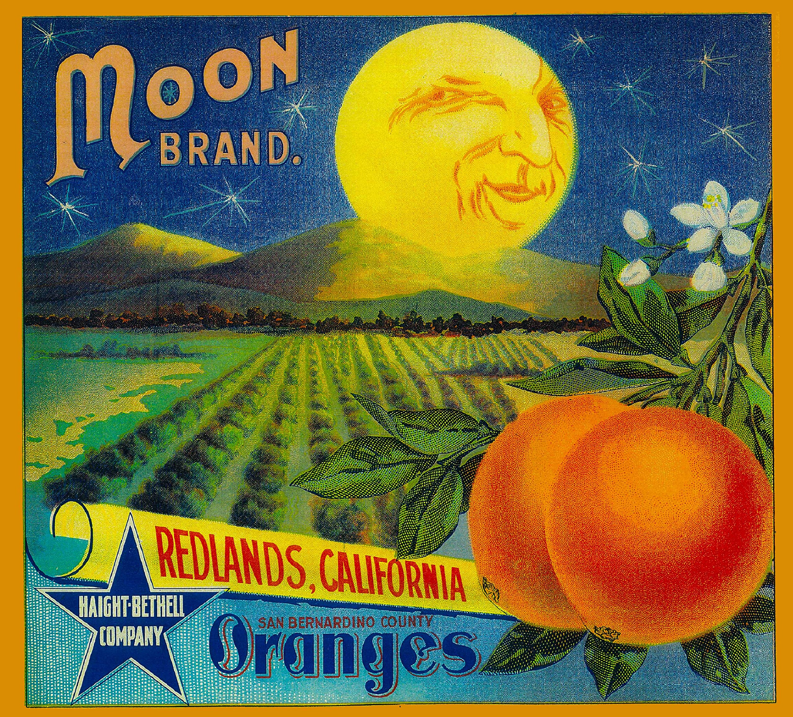Desert  （ブルックリン）購入ポスター Amazon.com: A SLICE IN TIME Redlands Moon Orange Citrus Fruit
